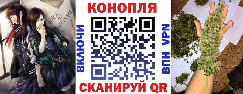 это клад Каргополь Каннабис Bruce Banner